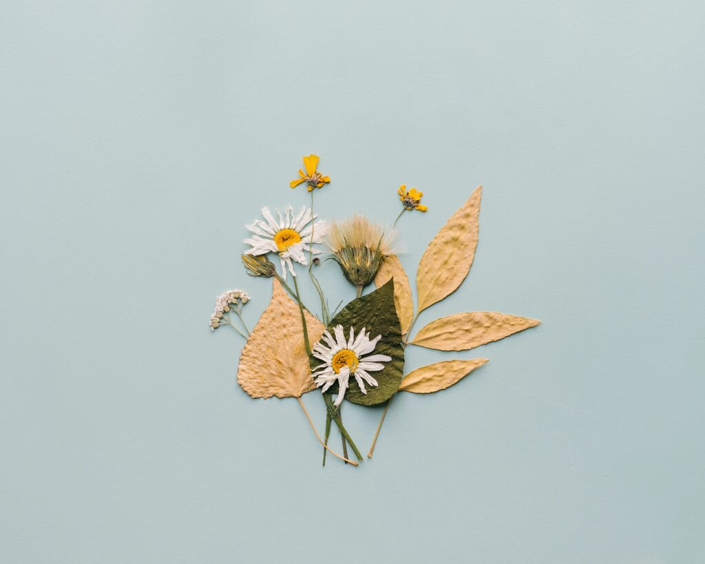 dried flowers to save money wedding