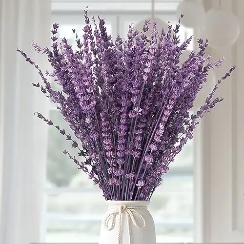 Dried Purple Lavender Flowers Bundle-Dried Preserved Lavender Bouquet 15-17