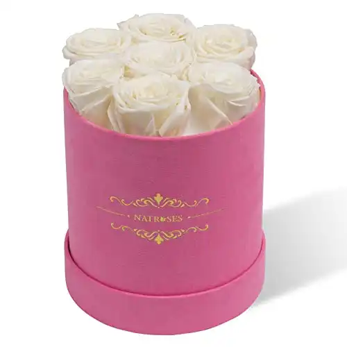 NATROSES Preserved Roses in a Round Box, 100% Real Roses That Last Up to 3 Years, Flowers for Delivery Prime, Valentines Day Rose for Her, Mothers Day Roses, Anniversary (White)